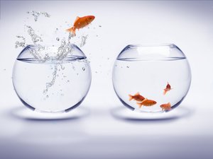 科学方法选购实验室耗材要注意什么